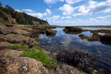 Fototapeta premium This image showcases tranquil tide pools along a stunning coastal landscape, inviting viewers to explore the rich marine life thriving in these shallow waters.