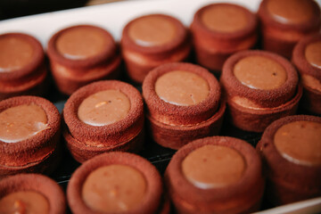 Rows of Identical Mini Round Chocolate Tarts or Cookies with a Dark Brown Crumb Crust and a Smooth Light Brown Creamy Filling, in a White Tray