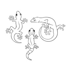simple illustration house lizard