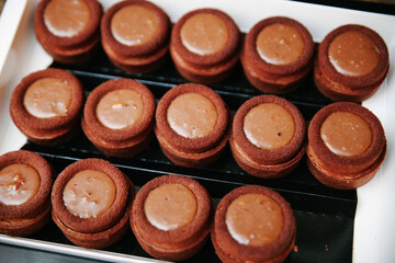 Overhead Close-up of Rows of Identical Mini Round Chocolate Tarts or Cookies with a Dark Brown Crumb Crust and a Smooth Light Brown Creamy Filling, in a White Tray