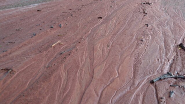 Mud drifts and rivulets on the ground Texture of wet silt and mud with traces of water erosion