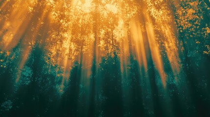 Sunbeams illuminate a dense forest canopy, creating a dramatic contrast between the golden light and dark green foliage, symbolizing hope, spirituality, and the beauty of nature