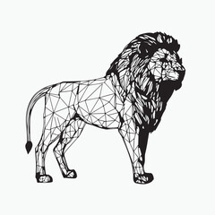lion vector illustration