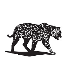 vector illustration of a leopard