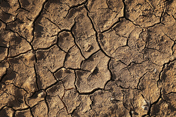 Cracked dry earth texture under harsh sunlight. Parched soil surface with deep natural fissures. Drought affected ground seen from above. Climate change and water scarcity concept background.