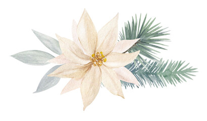 Elegant watercolor white poinsettia with pine branches and soft leaves. Perfect floral Christmas composition for cards, invitations, and winter designs.
