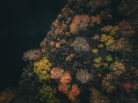 Aerial view of autumnal trees displaying a tapestry of warm colors alongside a dark, still body of water, Boston, Massachusetts, United States.