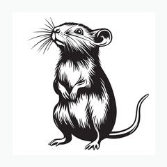 vector illustration of a mouse