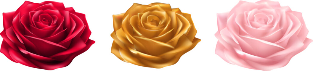 red rose Gold and pink Transparent elements Ideal for wedding invitations Valentines Day promotions or romantic product packaging High quality design.