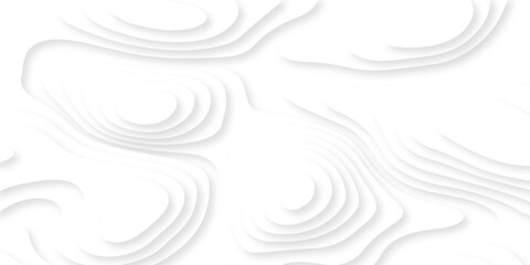 Abstract white papercut luxury diamond creative topography map background. vector natural shadow papercut web topography map spiral line texture.