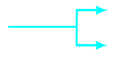 Obraz premium Icon with two diverging rightward arrows – multiple directions on transparent background