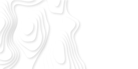 Abstract dynamic layout white papercut luxury diamond creative topography map background. vector natural shadow papercut web banner template spiral line texture.