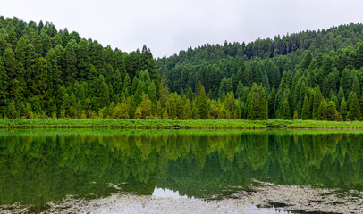 Fototapeta premium Green forest reflected in calm lake water. Sete Cidades caldera in Azores, Portugal. Lush trees surround the serene landscape.