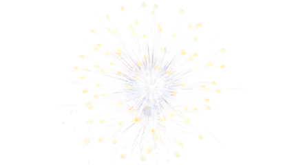 Firework explosion isolated on transparent background