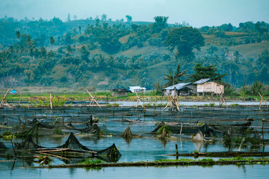 View of fish pens floating serenely on the calm waters, reflecting the lush green hills and the simple houses nestled on the shore, Lake Sebu, Soccskargen, Philippines.