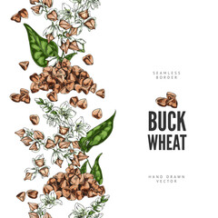 Fototapeta premium Buckwheat branch with flowers, leaves and seeds sketch vector seamless border design, hand drawn agricultural products