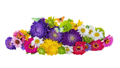 A vibrant collection of diverse blossoms, each petal a testament to the beauty and intricacy of nature. Capturing the fresh essence of flora. Isolated On Transparent and White Background