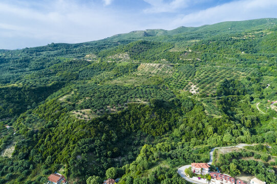 Aerial view of a lush, green mountain range with scattered buildings nestled among the trees, a vibrant contrast against the clear blue sky, Paralia, Preveza, Greece.