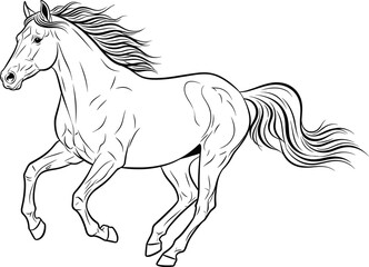 Dynamic Line Drawing of Galloping Horse with Flowing Mane and Tail in Black and White for Educational and Artistic Use