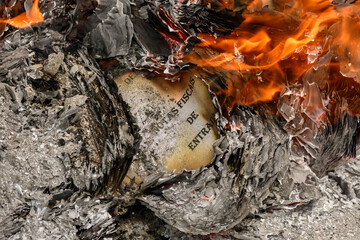 Burning accounting documents turning into ash and flames