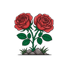 Two Red Roses Plant with Green Leaves Isolated on White Background