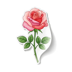Single Red Rose Symbol of Love for Happy Rose Day