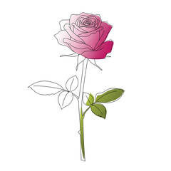 Rose Day Love Concept with Beautiful Red Roses