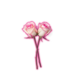 Romantic Red Rose Flower for Rose Day Love Celebration