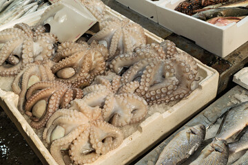 The Varvakios Market Seafood Market