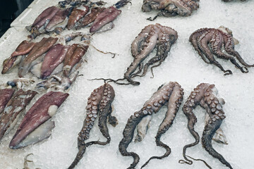 the Varvakios Market Seafood market scene in Athens, Greece showing a white container filled with fresh octopuses arranged on ice. Their tentacles and suction cups are clearly visible