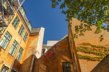 View of vibrant buildings with orange and peach facades, adorned with climbing ivy, reaching towards a clear blue sky in Indre By, Copenhagen, Denmark.
