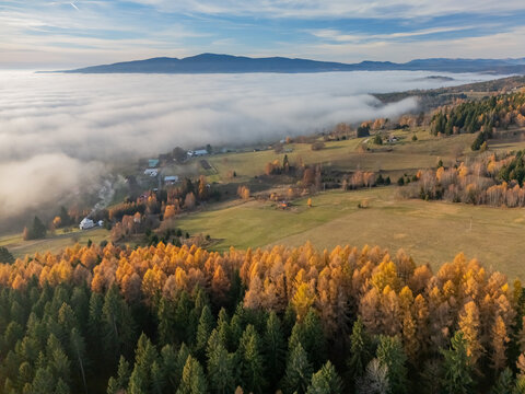 Aerial view of golden-hued trees meeting a blanket of low-lying clouds near rolling hills, Detvianska Huta, Banskobystricky kraj, Slovakia.