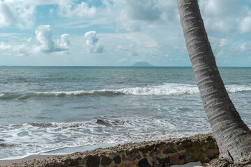 beach view with waves and coconut trees in the afternoon