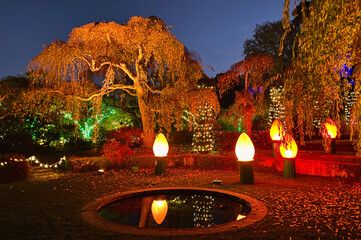 Garden decorated with colorful lights for Christmas celebration in California