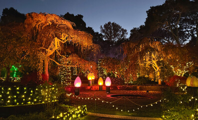Garden decorated with colorful lights for Christmas celebration in California