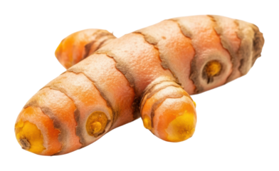 Turmeric root harvesting process farm field food natural ingredients isolated on transparent background