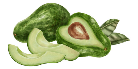 A hand-drawn watercolor illustration of an avocado composition with slices and leaves. Suitable for stores, cafes, packaging, menus, and products related to cooking, skincare, and health.
