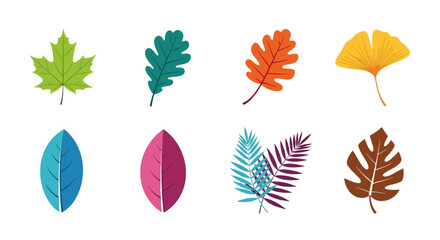 A vibrant collection of colorful leaves arranged in two rows on a clean white background, showcasing various shapes and hues.