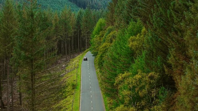 Car traveling along peaceful forest road surrounded by tall green trees. Vehicle driving through natural valley using efficient fuel and supporting renewable energy transition. Motion continuing