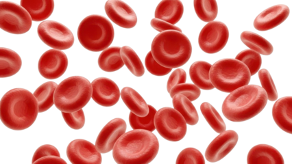 Red Blood Cells Floating on a Transparent Background PNG
