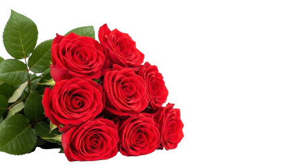 Obraz premium Bunch of Red Roses on Transparent Background PNG Image