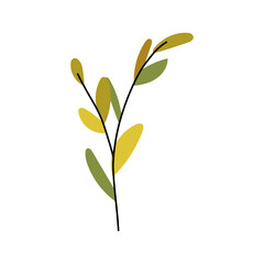 Autumn leaf drawing in warm orange and yellow tones, botanical sprigs and twigs rendered as handmade vector graphic artwork.