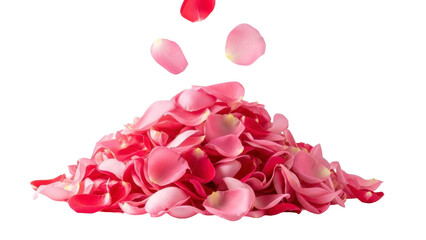Fototapeta premium Pile of Pink Rose Petals Falling in a PNG Image on Transparent