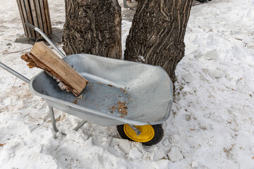 Metal wheelbarrow filled with split log rests on snow covered ground near two trees. Outdoor...