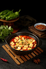 Traditional Mapo Tofu - Chinese Spicy Meat and Tofu Dish