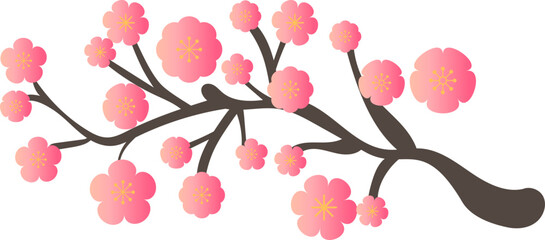 Pink Plum Blossom Bloom Branch
