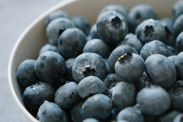 Macro of bowl full of sweet ripe blueberries with drops of water. Fresh garden berries are natural source of vitamins and microelements. Healthy eating closeup, vegan diet