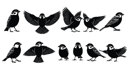 Diverse Sparrow Bird Silhouettes Vector Set: Flying, Sitting, and Standing Poses for Nature, Ornithology, Wildlife Graphics, and Logo Design, Black Icon.