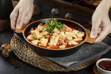 Traditional Mapo Tofu with Pork and Cilantro Foam - Chinese Cuisine