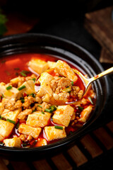 Traditional Chinese Mapo Tofu with Pork in Spicy Red Chili Sauce